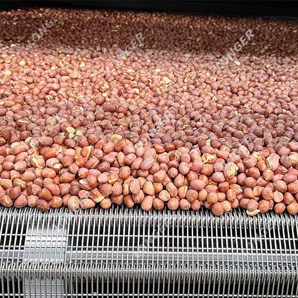 Peanut Roasting Process Using a Peanut Roaster
