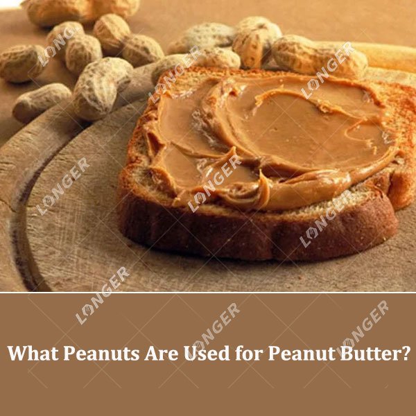 What Peanuts Are Used for Peanut Butter?