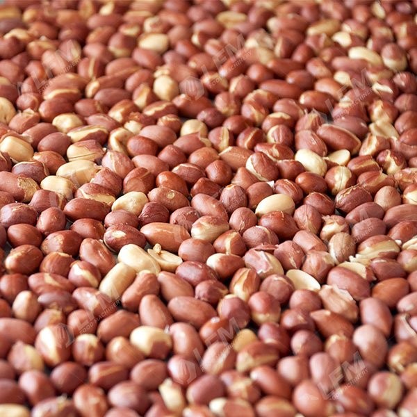 What Is The Manufacturing Process Of Roasted Peanuts?