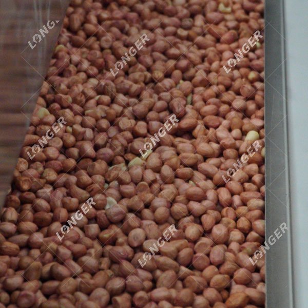 Automatic Roasting Machine for Peanuts
