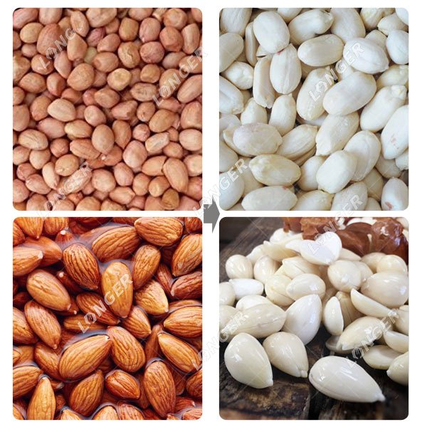 Wet Peeling Machine for Peanuts and Almonds