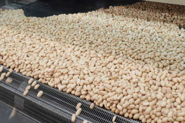 Automatic Peanut Roasting Machine Price in Kenya