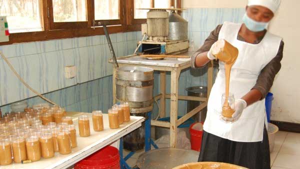 Tanzania Small-Scale Peanut Butter Processing Units