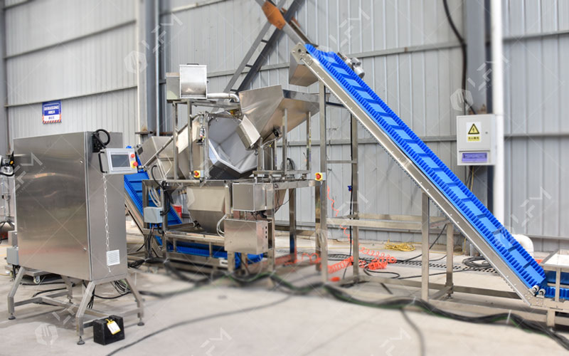 Automatic Nuts Salting Machine Supplier