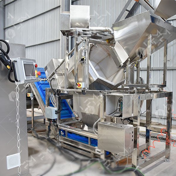 Fully Automatic Peanut Salting Machine in China